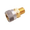 Adaptateur PCP pour pompe et compresseur Male 1/8 BSP femelle quick connect