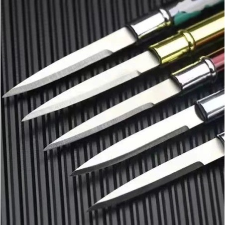 Stylo ouvre lettre lame cachés en acier inoxydable Coloris aux choix
